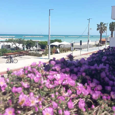 Il Canto Del Mare & 4*
