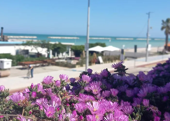 Il Canto Del Mare & Pensionat Porto SantʼElpidio