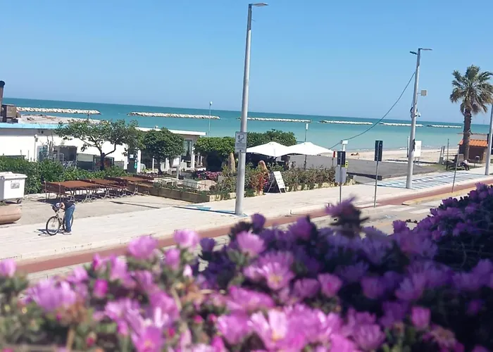 Il Canto Del Mare & * Porto SantʼElpidio