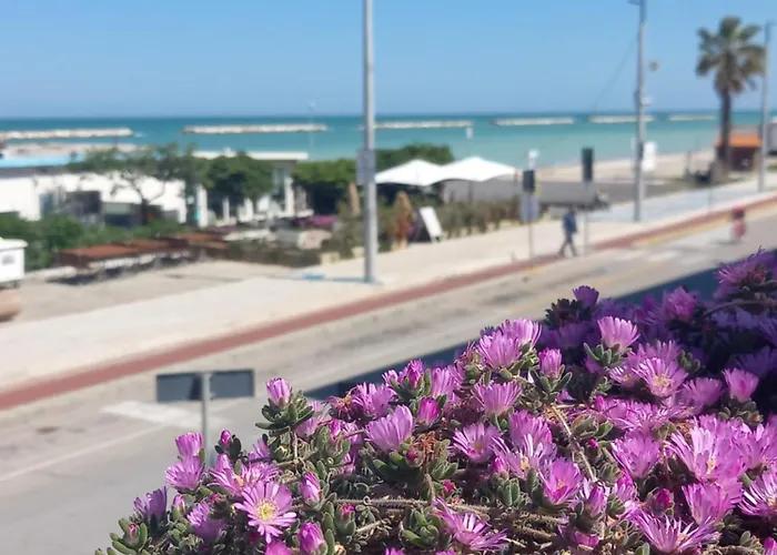 Pensionat Il Canto Del Mare & *