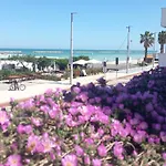 Il Canto Del Mare & *