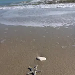 Πανσιόν Il Canto Del Mare & Porto SantʼElpidio