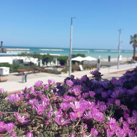 Il Canto Del Mare & 게스트하우스 포르토 산텔피디오