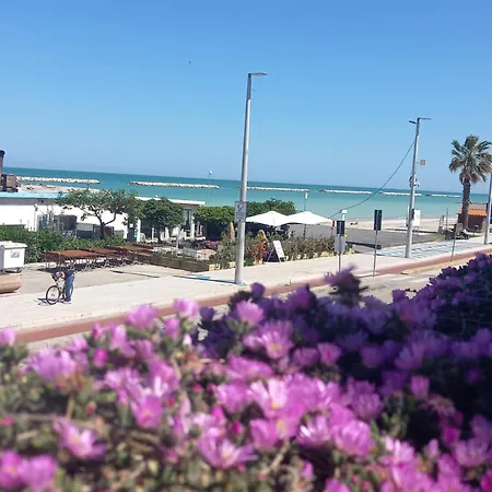 Il Canto Del Mare & * Porto SantʼElpidio