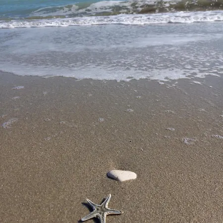 Konukevi Il Canto Del Mare & Porto SantʼElpidio