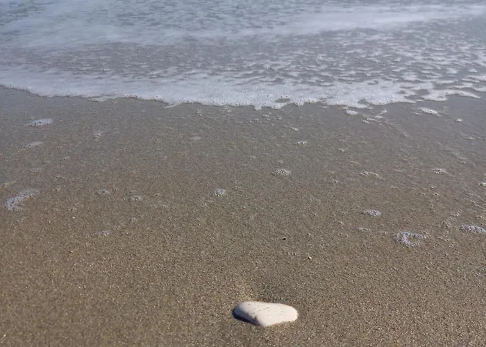 Pensión Il Canto Del Mare & Porto SantʼElpidio